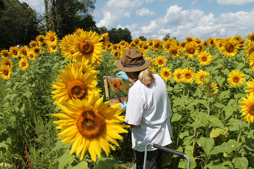 Painting Sunflowers